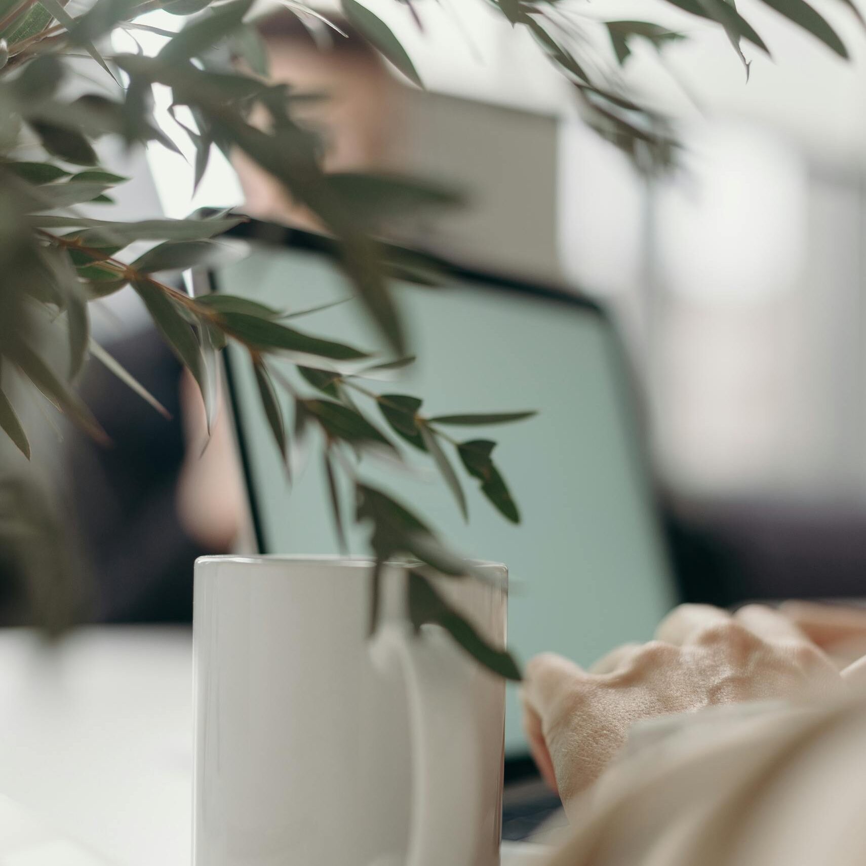 A calm home office scene with a white ceramic mug, computer laptop, and green leaves.